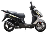 Gas Scooter (YM50QT-6G)