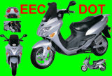 EEC Electric Motorcycle (EEC Electric Scooter, 1500w/2000w/3000w, 80km/H)