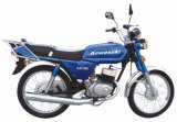 EC Motorbike / Motorcycle (AX100)