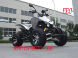 2009 New Model 250cc ATV (WJ250ST-9)
