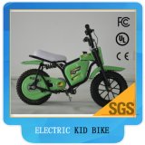 Electric Scooter 250W