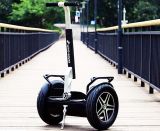 Black 2 Wheel Electric Stand up Scooter