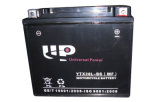 High Quality Motor Battery (YTX24HL-BS(MF))