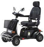 Electric Scooter (JH01-1A)
