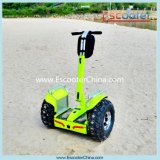2016 Best Selling and New Design China Electric Scooter, 2 Wheels Professional Mobility Scooter for Adults