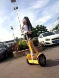 2 Wheel Self-Balancing Standing Advertising Kids Mobility Scooter