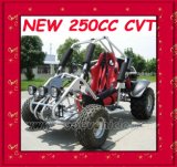 250CC CVT Go Kart (MC-462)