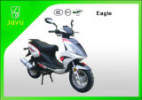 China New 50cc Gas Scooter (Eagle-50)