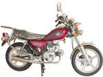 Motorcycle (CTM50)