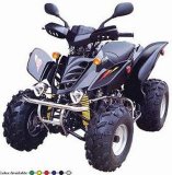 200CC ATV (GS-BEST-ATV21)