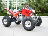 Newest Model 250cc ATV / Quad (ATV250S-4)
