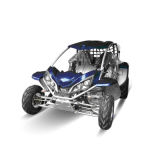 250cc Go Kart, Buggy, Quad, Max Power Go Cart (ZC-GK-08)