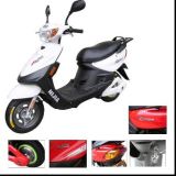 Electric Scooter (TDR48K123)