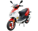 EEC Approved Scooter (JL50QT-44)
