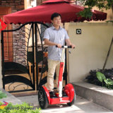 Outdoor Green Power Electric Scooter for Entertaining