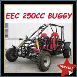 250CC EEC Go Karts (MC-412) 