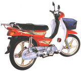 Yangtze Motorcycle -- YZ100E