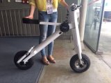 Electric Scooter with Pedals Approved by CE and FCC