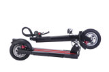 New Design 350W CE Approval Folding Electric Scooter