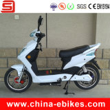 Electric Scooters for Sale (JSE210)