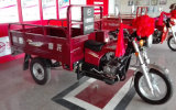 175cc Engine Motorcycle Scooter Tricycle for Cargo