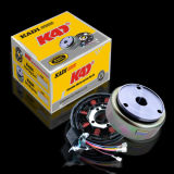 Kadi Motorcycle Spare Parts for Ft150 Complete Coil