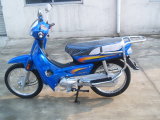 Motorcycle(DY110)(TRB100-2)