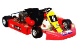 Standard Racing Kart (K-KART)