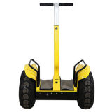 New Smart City-Road Electric Scooter with Lithium Battery