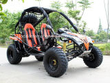 Hot Sale 200cc Sports Go Karts Go Carts (HD200-KF)