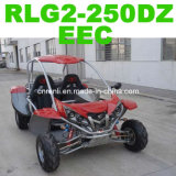 Go Kart EEC (RLG2-250DZ)