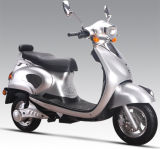 Electric Scooter (SL-LY)