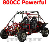 800CC Go Kart with Shaft Drive Buggy (DR690)