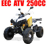 EEC ATV New 200cc / 250cc EEC Quad (ATV DR772)