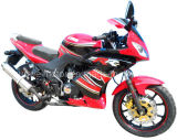 Motorcycle (GW200-7 (EEC))
