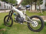 Dirt Bike (DS001)