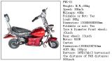 Mini Gas Motorcycle (FWG-01)