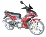 EC Motorcycle (HK110X-1B)