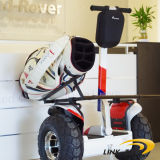 Personal Transport Golf Mobility Scooter