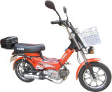 Motorcycle (GW48Q-11A)