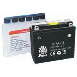Maintenance Free Motorcycle Battery YTX4L-BS in 12V Voltage with SGS CE UL Proved