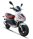 Popular Gasoline Scooter with 50cc (SP50QT-04)