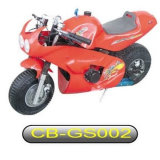 Gasoline Scooter (CB-GS002)