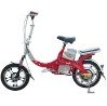 Electric Bicycle (TDR011Z)