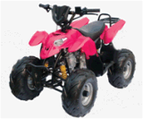 110CC ATV (GBT-ATV-002)