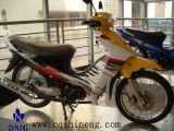 Motorcycle (ZN125-7)