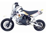 Pitbike (DTX1)