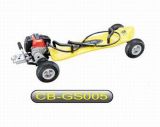 Gasoline Scooter (CB-GS005)