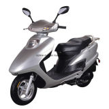 OEM 800W Electric Scooter (ZX-ZS)