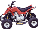 Dirt Bike-ATV50CC
